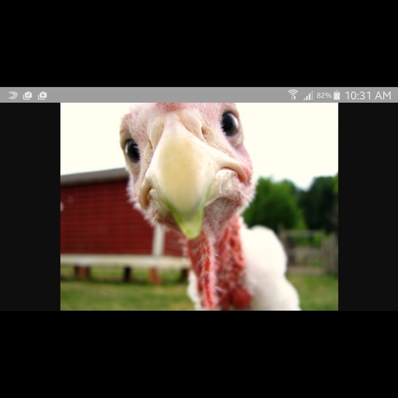 Meet your Posher, Jim - Picture 1 of 1